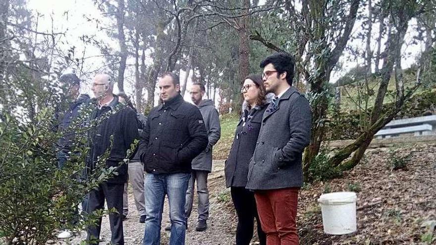 Plantación de acebos en Montealegre. // FdV