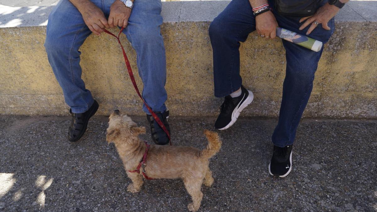Dos vecinos con su perrito en un pueblo de Zamora.