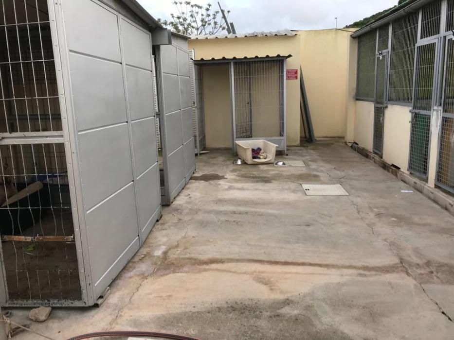 Asalto a Centro de Protección Animal de Sa Coma