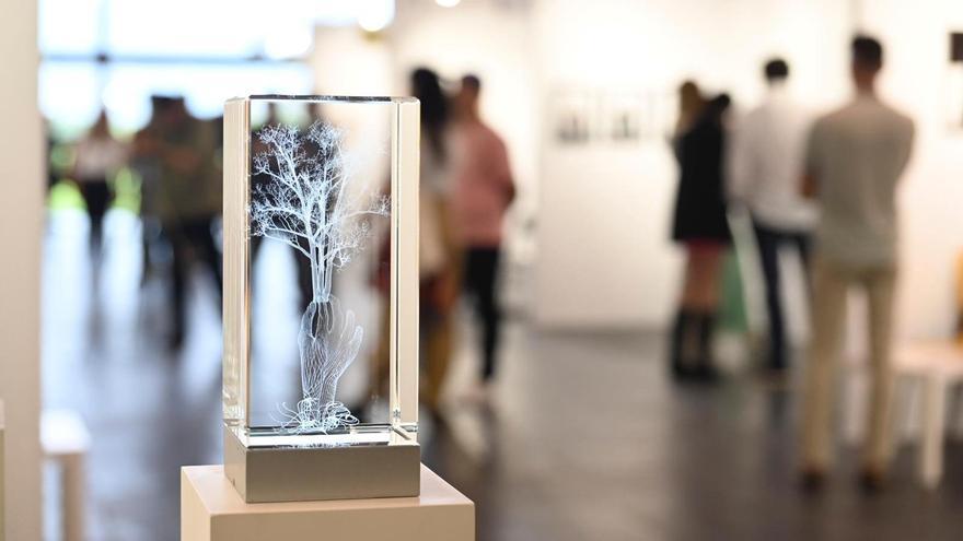 MARTE 2023: la Feria de Arte Contemporáneo de Castellón abre sus puertas