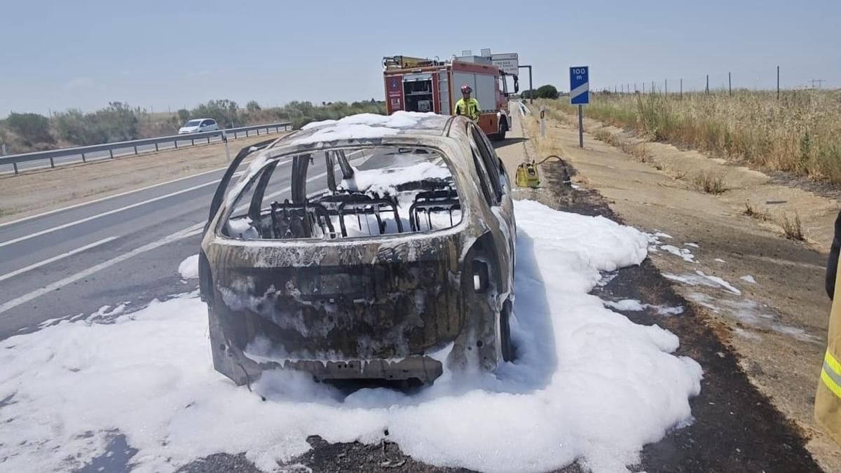 El incendio de un vehículo en la A-11 quema parte de la cuneta