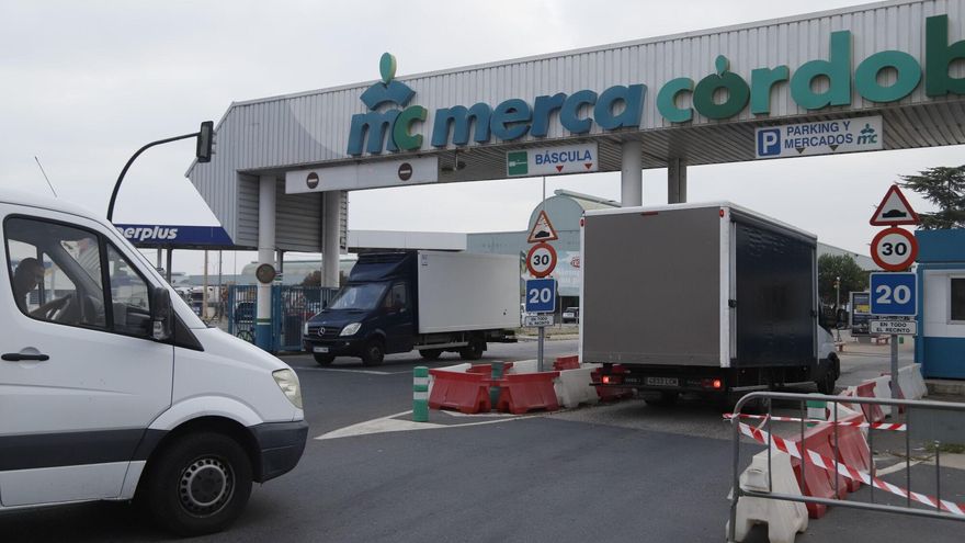 Mercacórdoba encarga una modificación urbanística para adecuar sus instalaciones a nuevos clientes