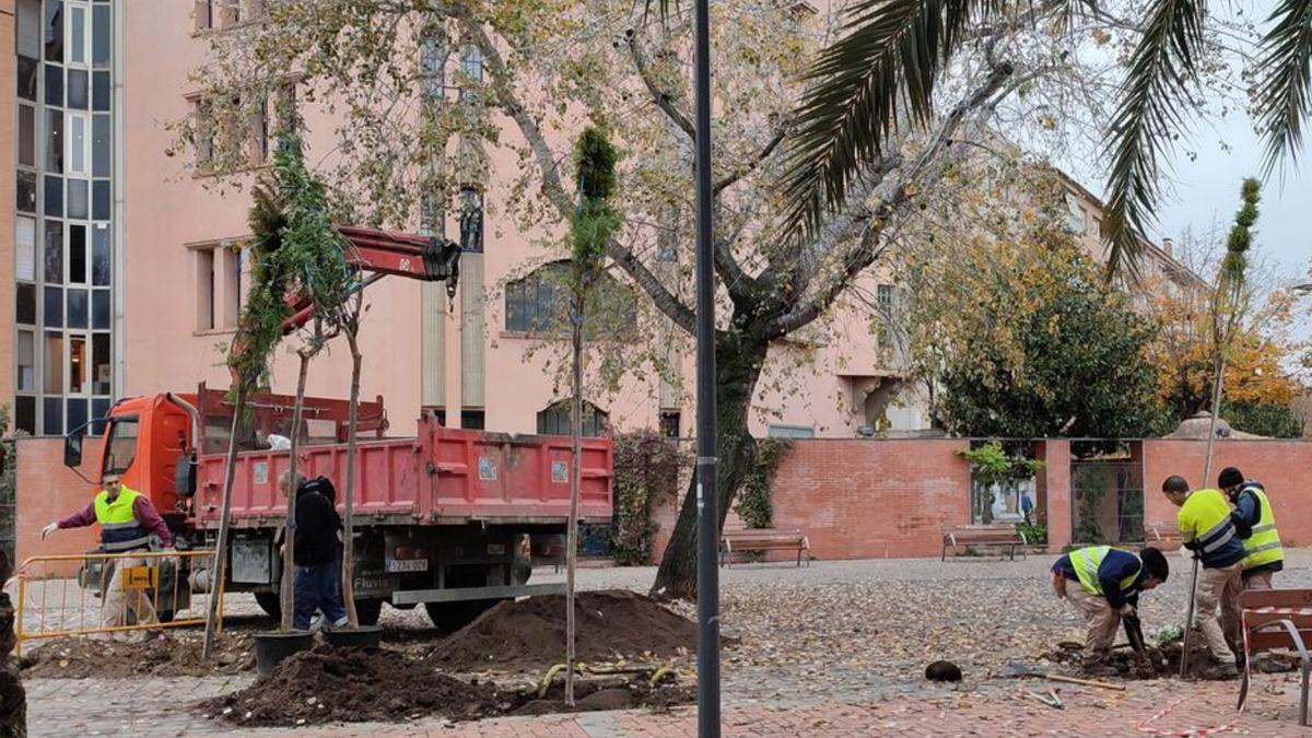 Operaris actuant al parc Central, a tocar de l’Estació Jove. | TAPI CARRERAS