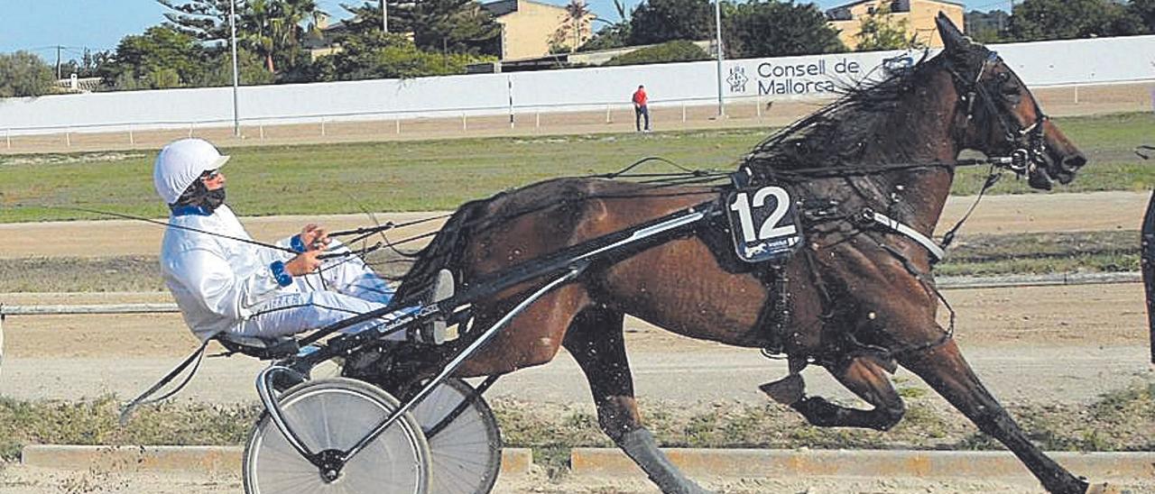 Toni Riera, durante el Gran Premi de Manacor.