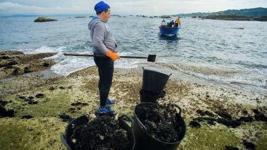 Los bateeiros acceden a las rocas en pequeña lanchas. // I. Abella