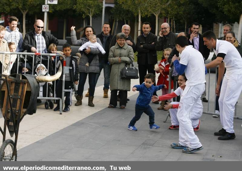 GALERÍA DE FOTOS -- Demostración de recortadores en Almassora