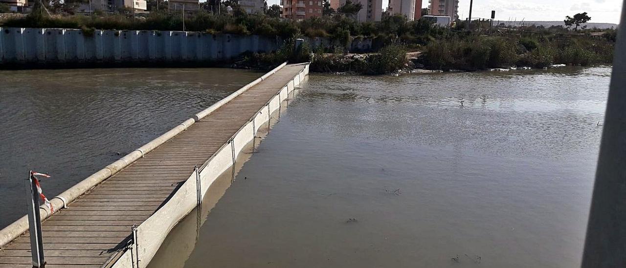 La barrera de flotantes de Guardamar ha quedado así de limpia tras retirar 56 toneladas de basura.