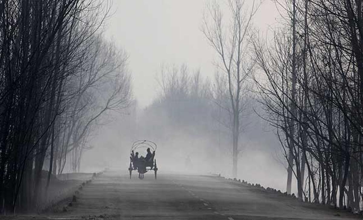 Treballadors musulmans caixmirs van en un carro entre la boira per una carretera a Sumbal, a uns 25 quilòmetres al nord-est de Srinagar, la capital estival del caixmir indi.