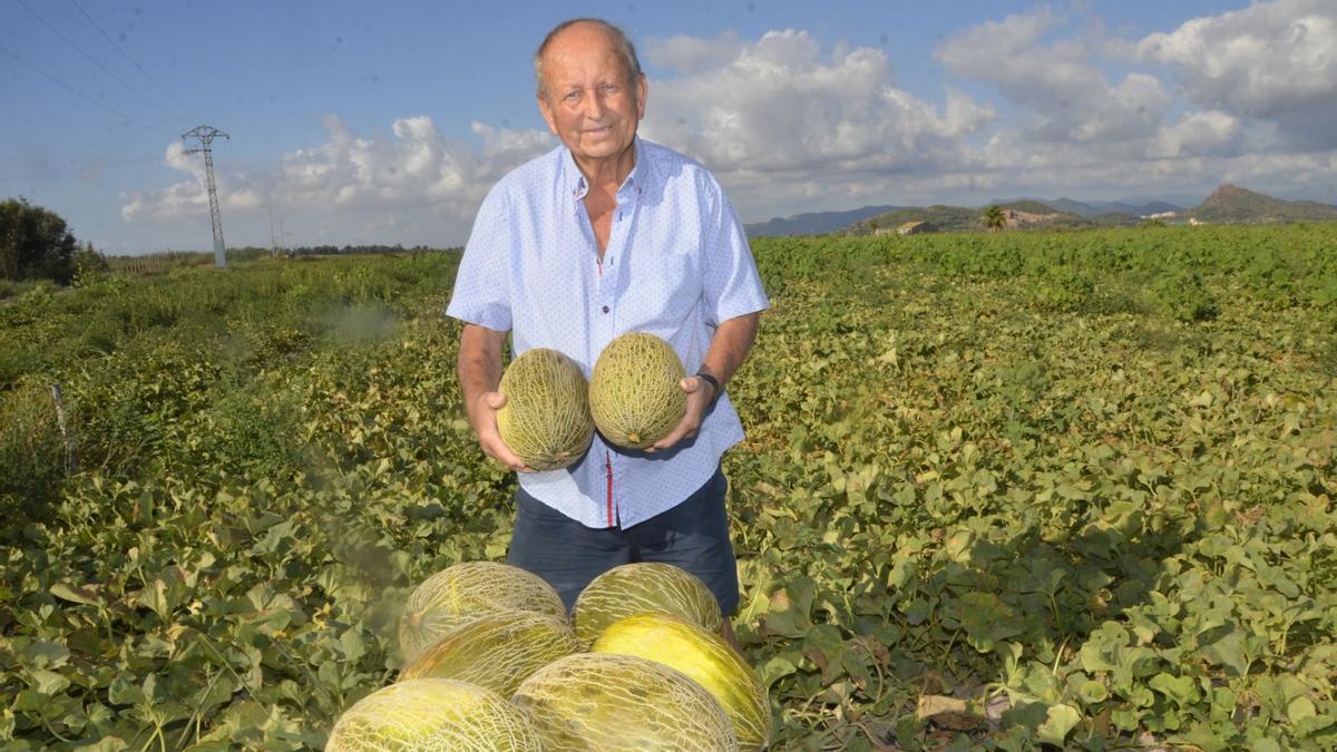 Vicent Eixea muestra orgulloso los exquisitos melores que recolecta ahora pero que son fruto de su trabajo durante todo el año.