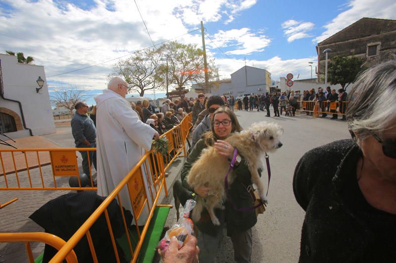 Benidición de animales en la Ermita de Vera y en la Punta