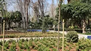 Castelló opta a 3,5 millones de la UE para la renaturalización de edificios y plazas