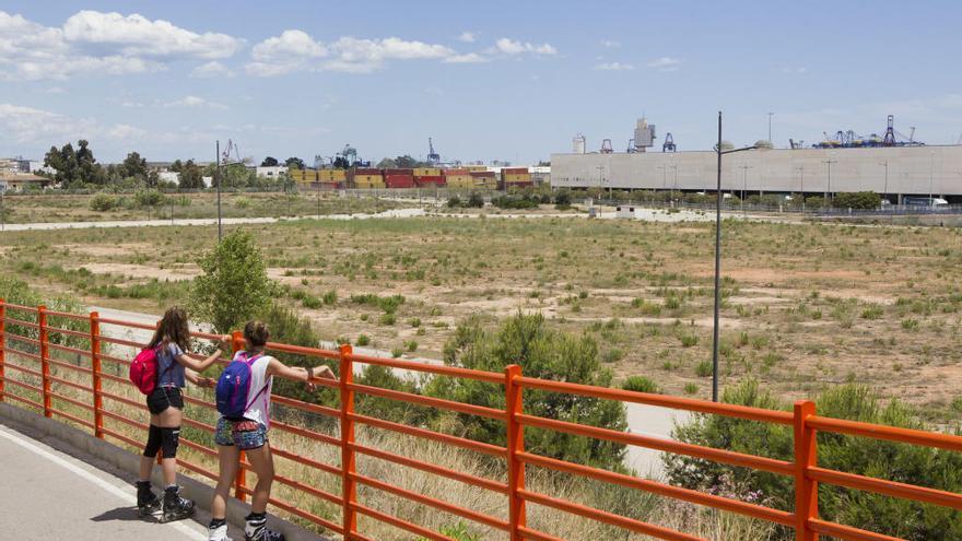 «¿Algún día le dirán a Bruce Springsteen  qué pasó con  la huerta de València?»