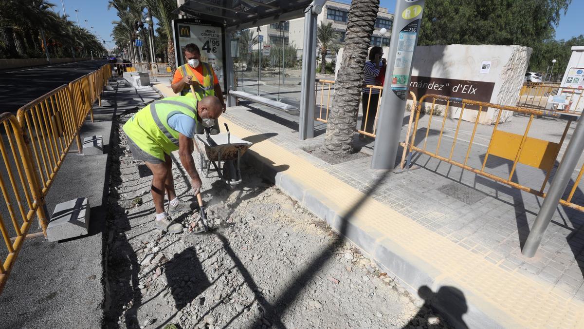 Elche invierte 238.000 euros en hacer más accesibles las paradas del bus