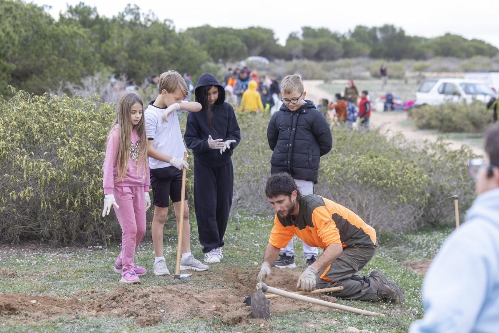 Jornada escolar plantación de especies autóctonas junto al parque natural de las lagunas de Torrevieja y La Mata