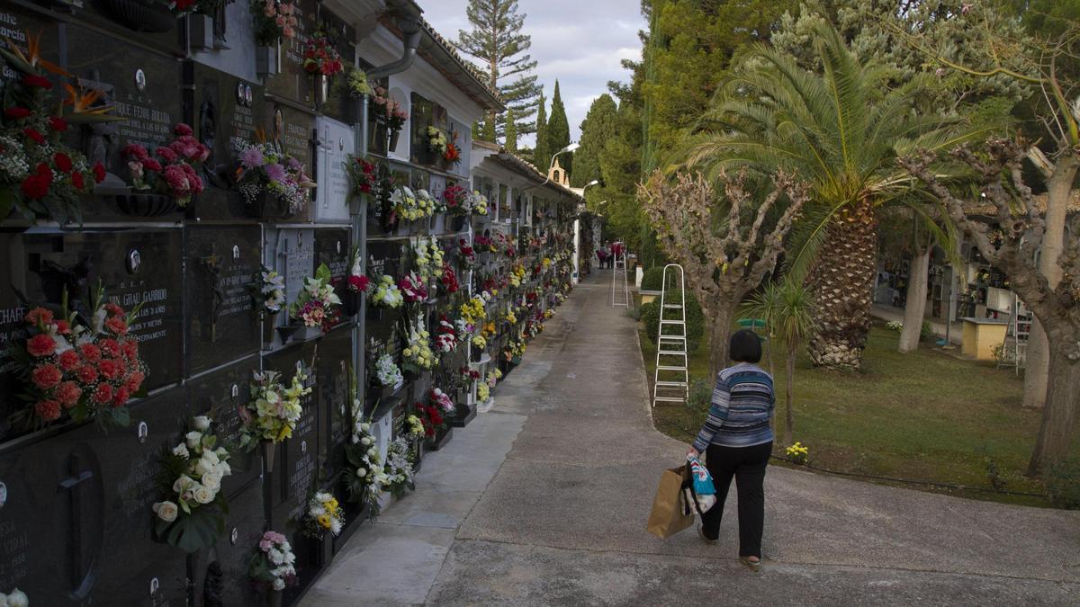 Interior del cementerio de l'Olleria, en una imagen de archivo.