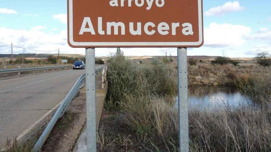 Tramo del arroyo Almucera lleno de vegetación.