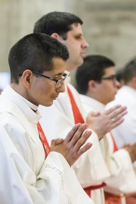 Ordenación de nuevos sacerdotes en la Catedral