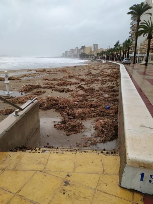 Daños por el temporal en El Campello