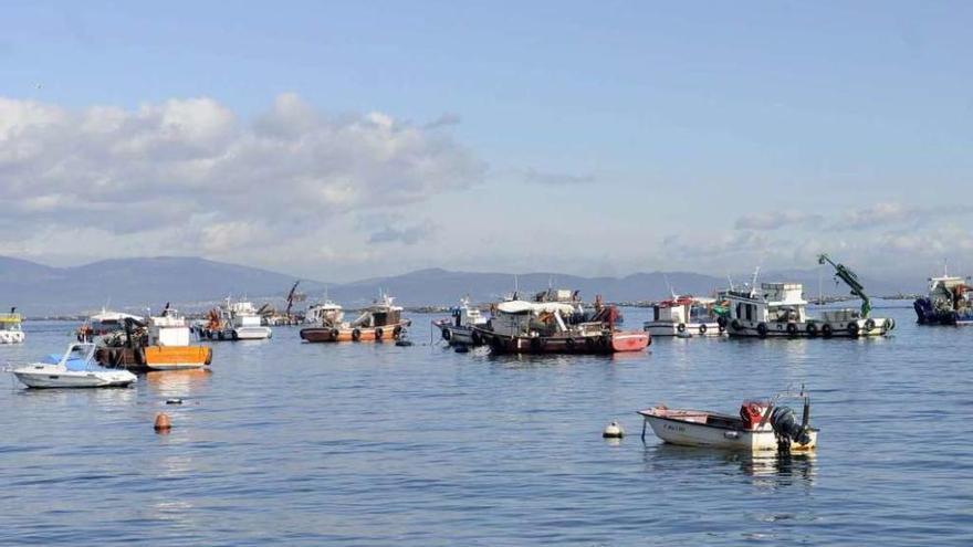 Dársena de O Xufre, en A Illa de Arousa. // Noé Parga