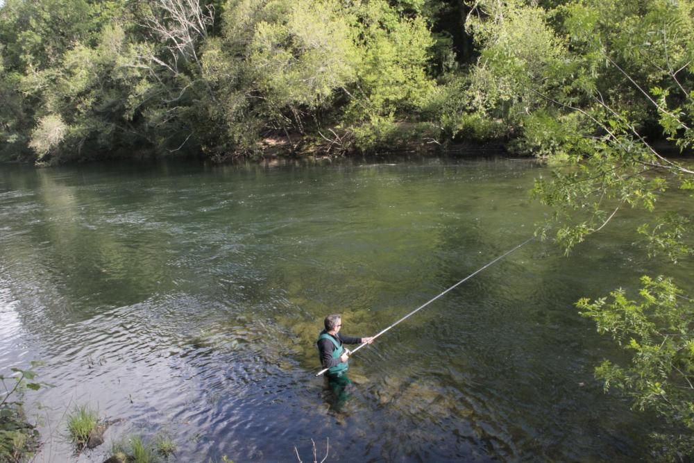 El salmón no pica en el Lérez