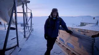 En busca de bueyes y osos en el Ártico remoto: "Tras días aislado, aparecen preocupaciones primitivas"