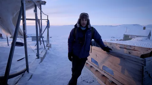 En busca de bueyes y osos en el Ártico remoto: "Tras días aislado, aparecen preocupaciones primitivas"