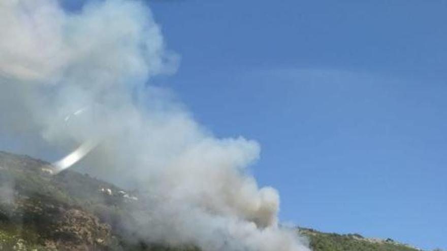 Incendio en una densa masa forestal de la Vall de Laguar