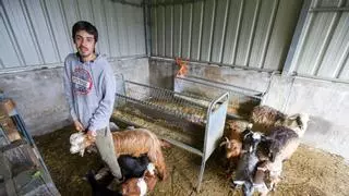 El paso de la borrasca Therese precipita el cierre de la quesería más joven de La Palma