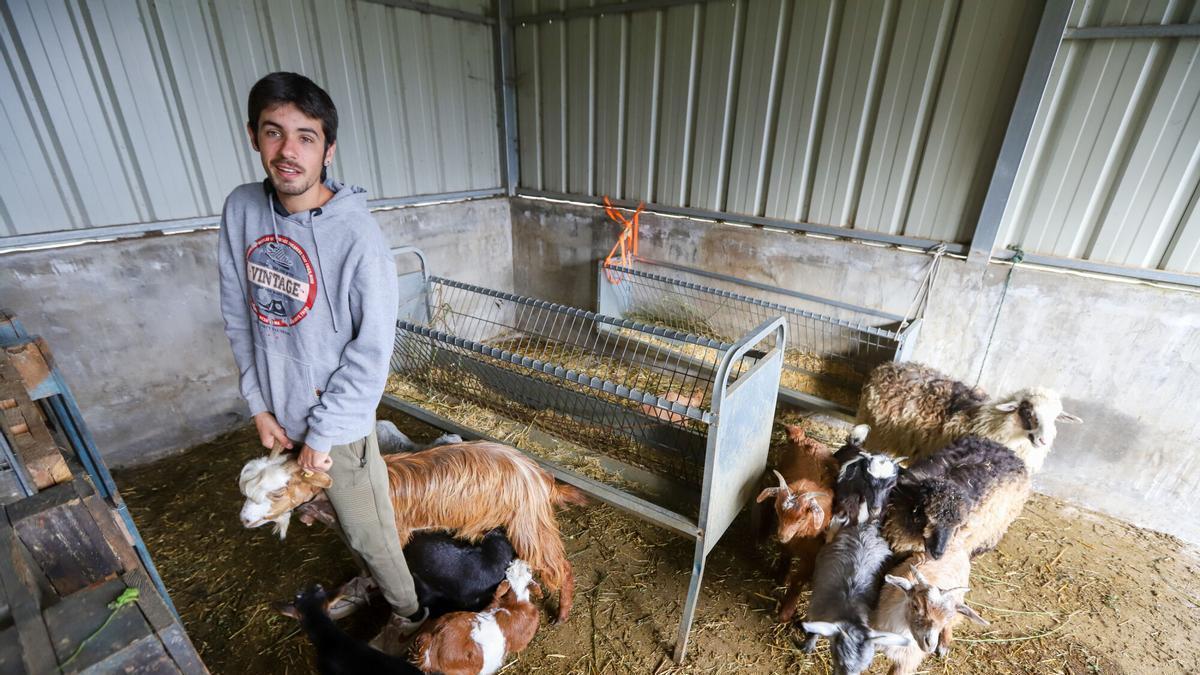 El paso de la borrasca Therese precipita el cierre de la quesería más joven de La Palma