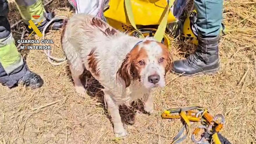 Laborioso rescate de un perro en Sant Joan tras caer a un pozo de seis metros