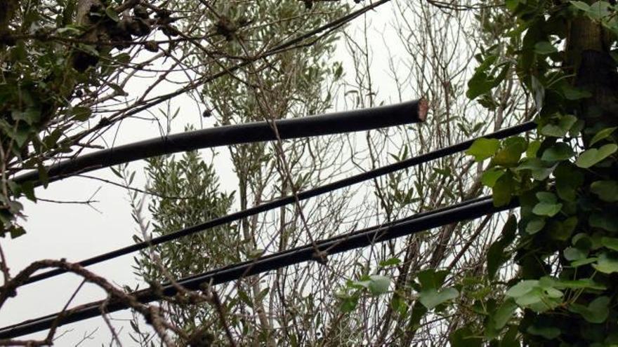 Un robo de 3.000 metros de cable de cobre deja una semana sin teléfono a la Vall de Laguar