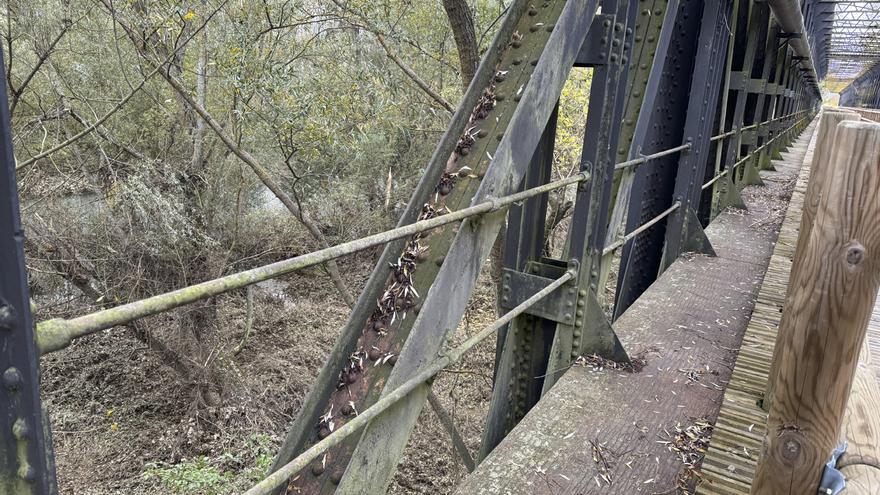 Benavente: Roban 100 metros de la valla de cerramiento del puente sobre el Esla en la Vía Verde