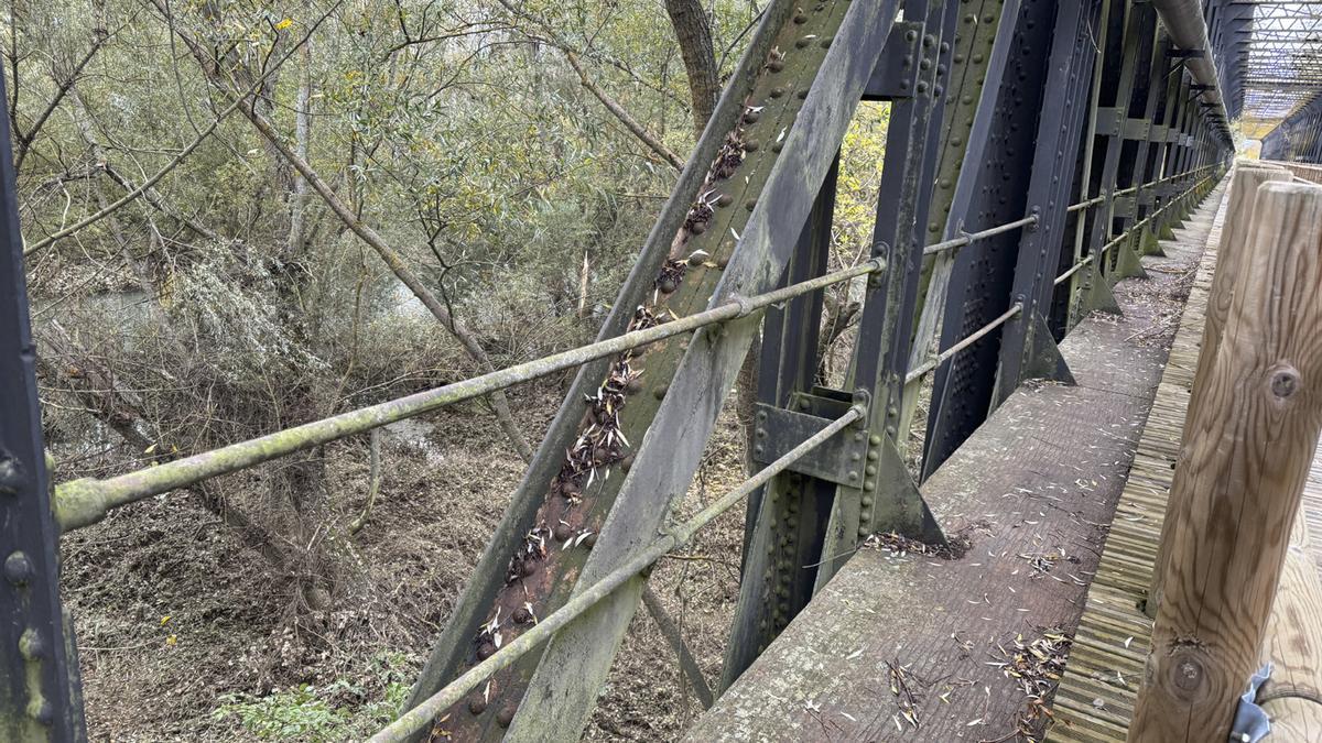 Aspescto de la zona en la que ha sido sustraída la valla de cerramiento en el puente.