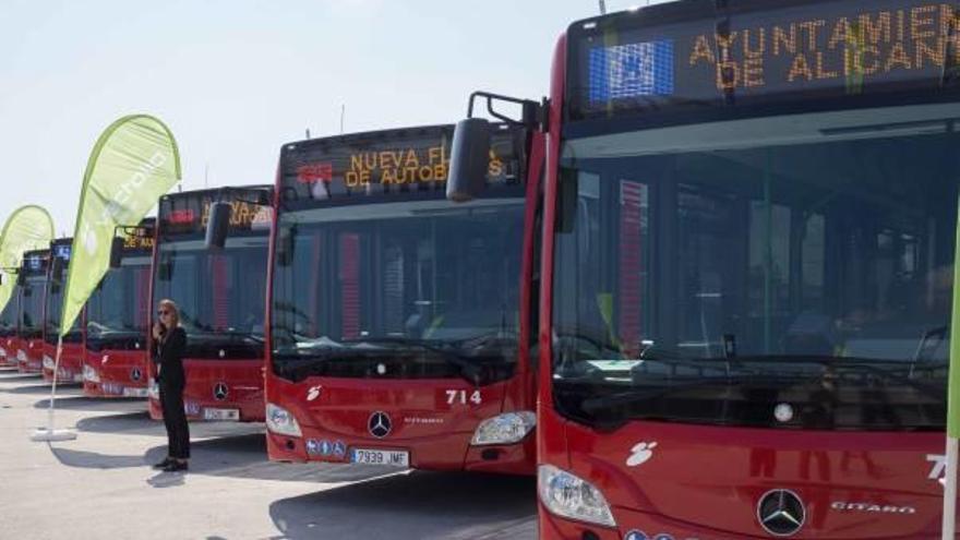 Imagen de nuevos autobuses de la flota del servicio de Alicante.