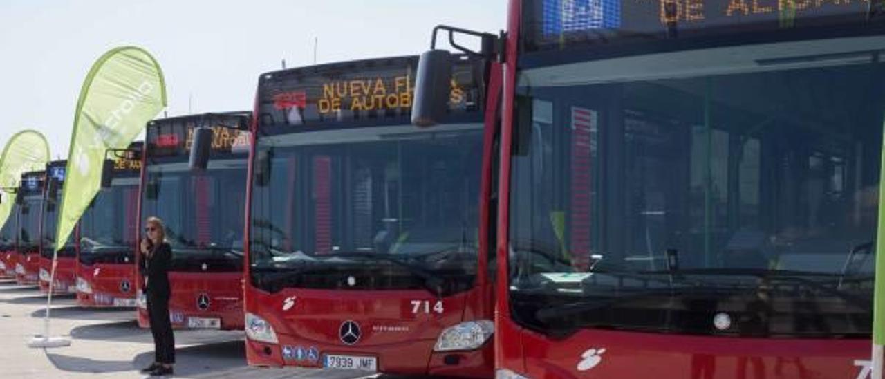 Imagen de nuevos autobuses de la flota del servicio de Alicante.