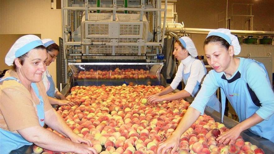 Las exportaciones de Extremadura crecen hasta los 472 millones