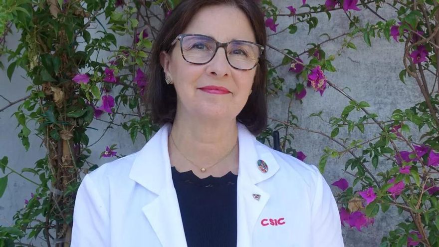 «No pedimos que se nos regale nada, solo lo justo»