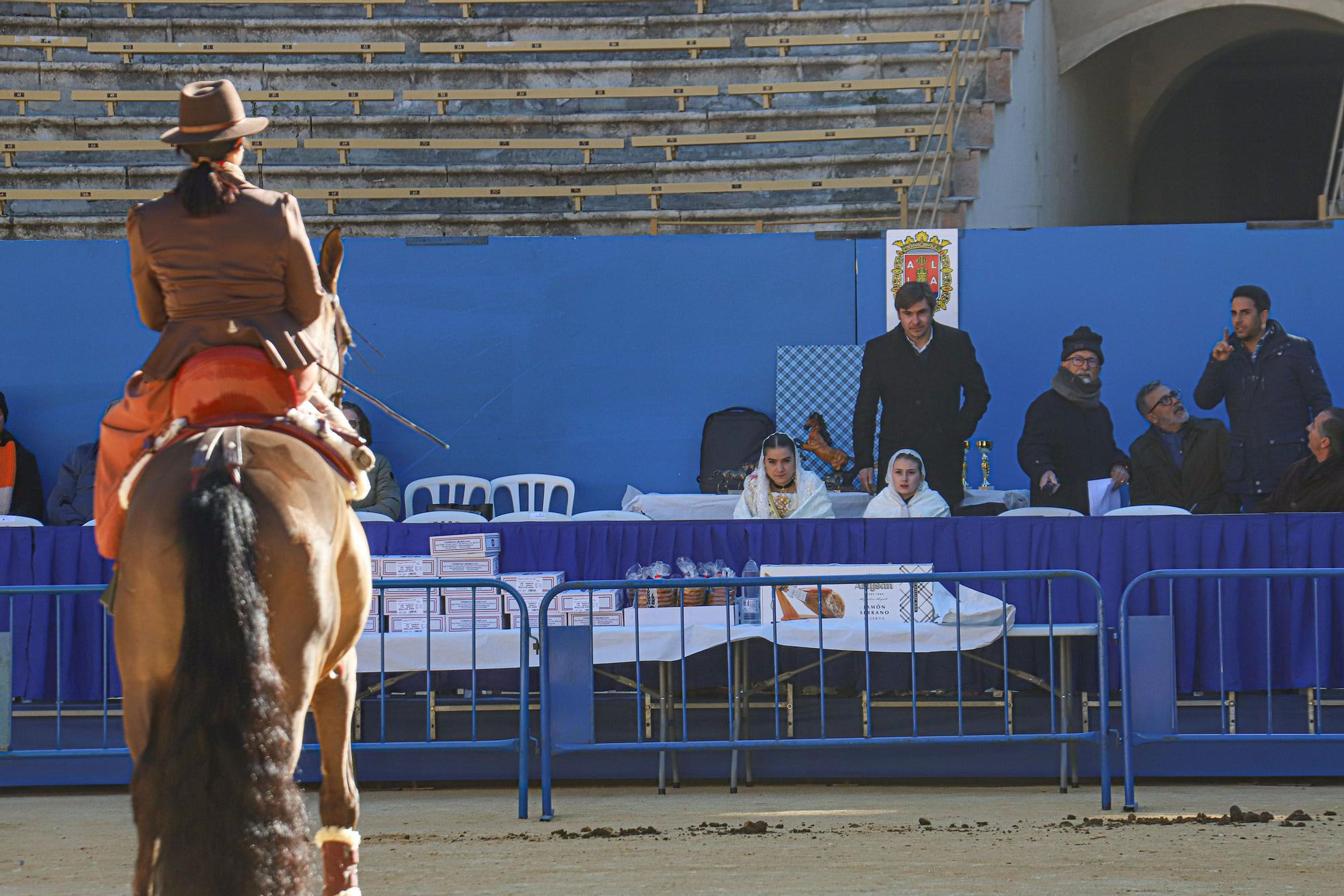 Concurso ecuestre y Bendición de animales por San Antón en Alicante