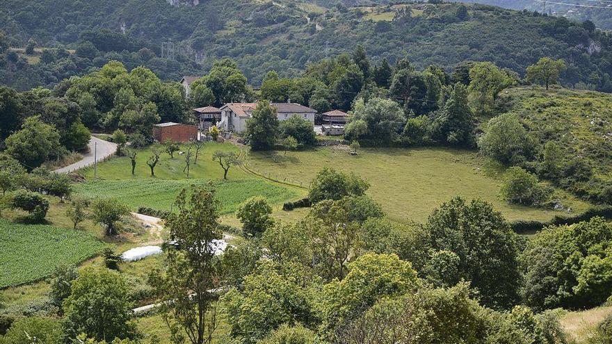 El vino de Les Regueres