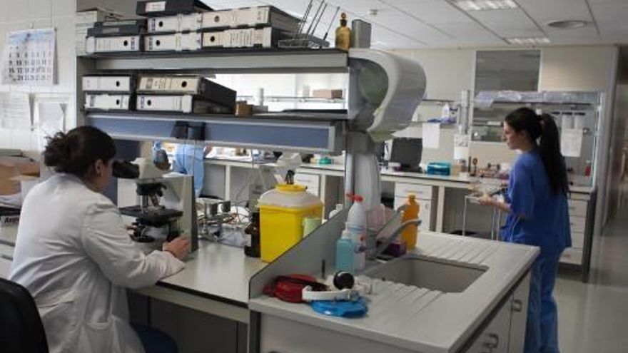 Una imagen de archivo de un laboratorio del Hospital General de Elche.
