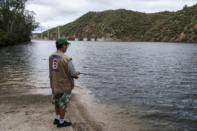 Galería | El peaje ambiental del puente de Cedillo
