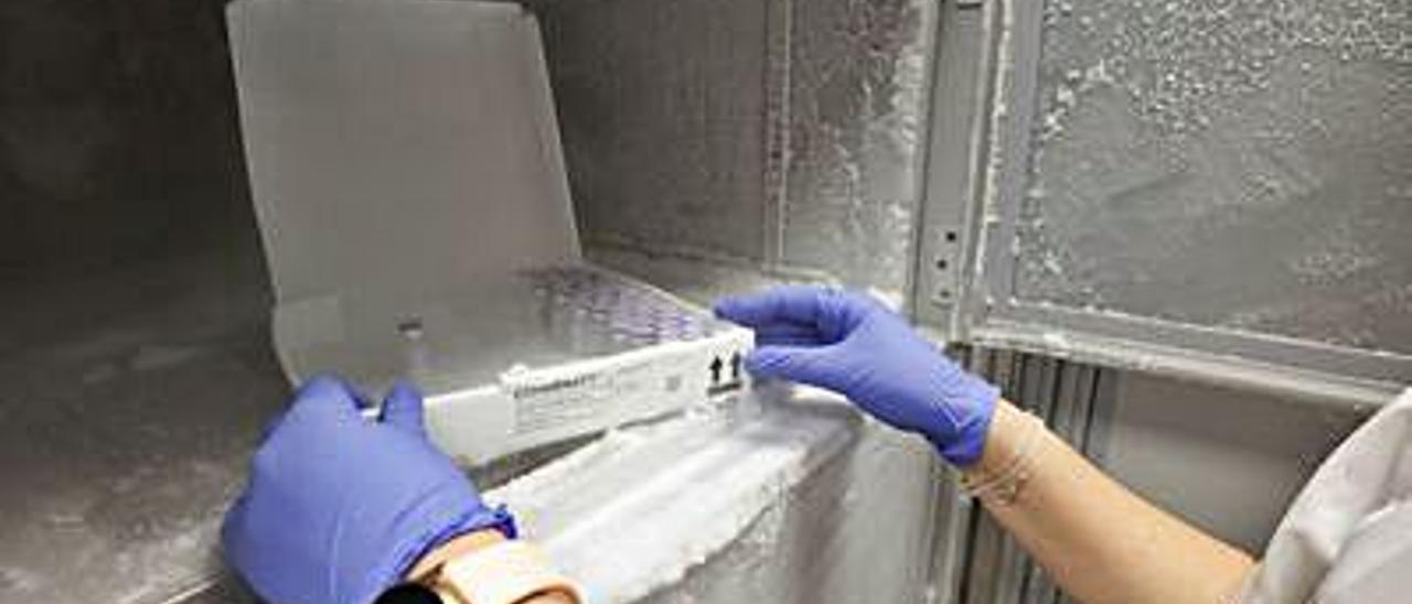Vacunas en el interior de un congelador