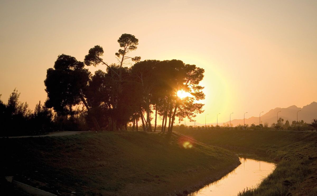Algorfa mira al futuro con una visión clara: desarrollar un urbanismo sostenible que respete el entorno y mejore la vida de sus habitantes