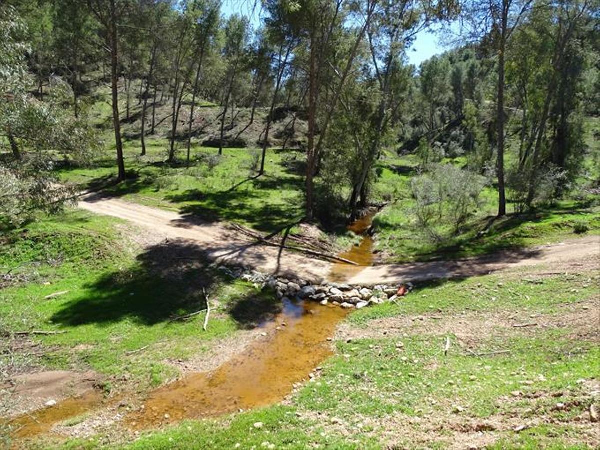 Pinares de los Molares