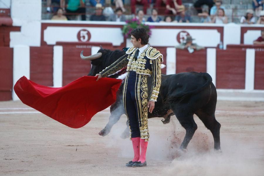 Toros en Zamora