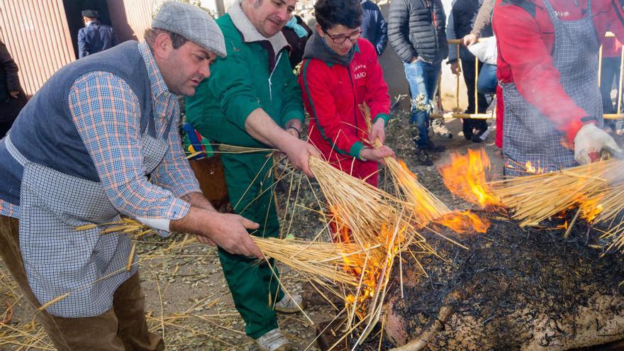 Una matanza en un pueblo de la provincia.