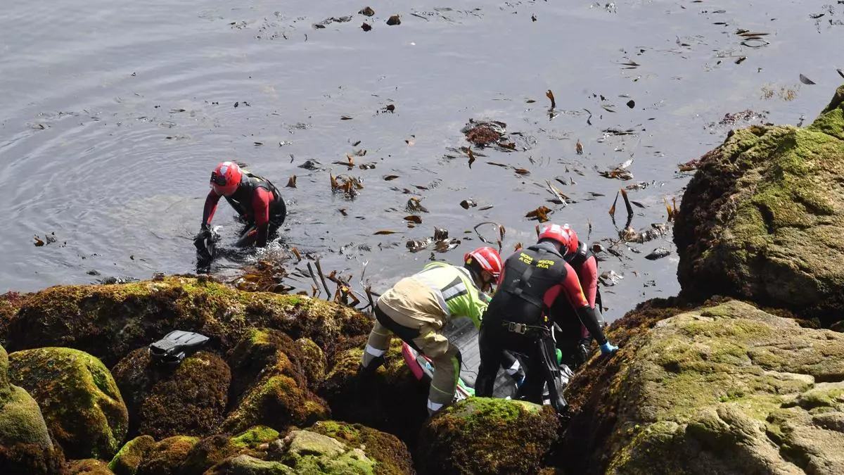 Aparece un delfín muerto en la zona del Millennium de A Coruña