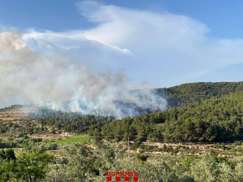 Bomberos trabajan para extinguir un incendio agrícola en Vilalba dels Arcs