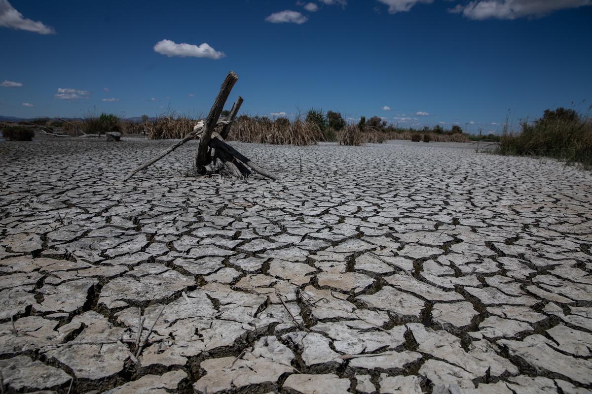 El actual estado de la reserva de Riet Vell, normalmente llena de agua.