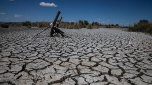 La sequera s’agreuja a l’Ebre: més municipis catalans de la CHE entren en emergència